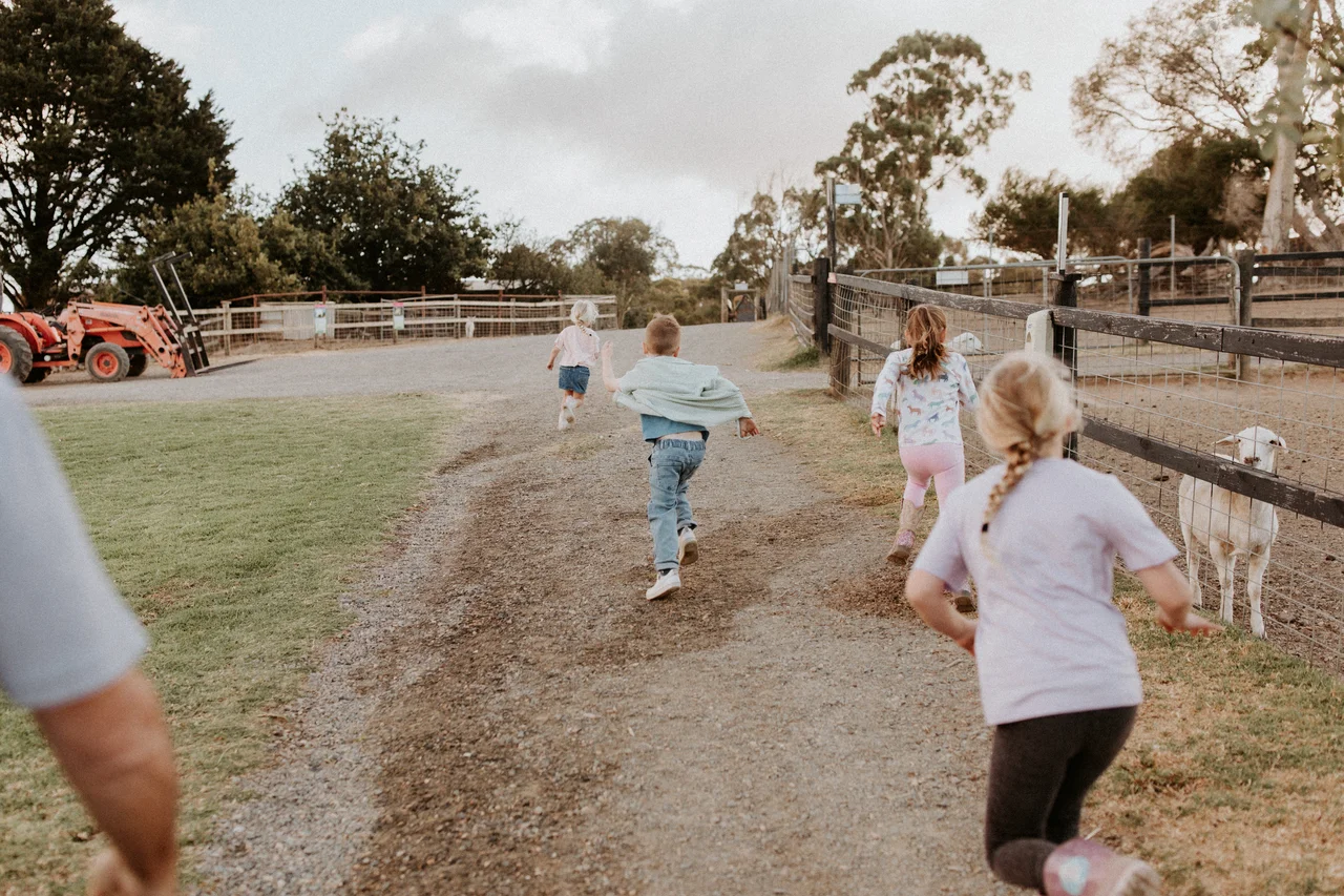 Families relaxing outdoors watching grazing animals