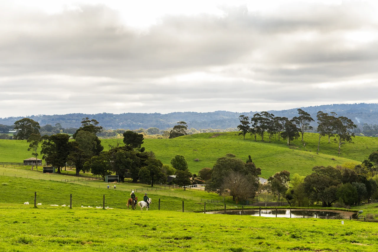 Child enjoying outdoor farm activities