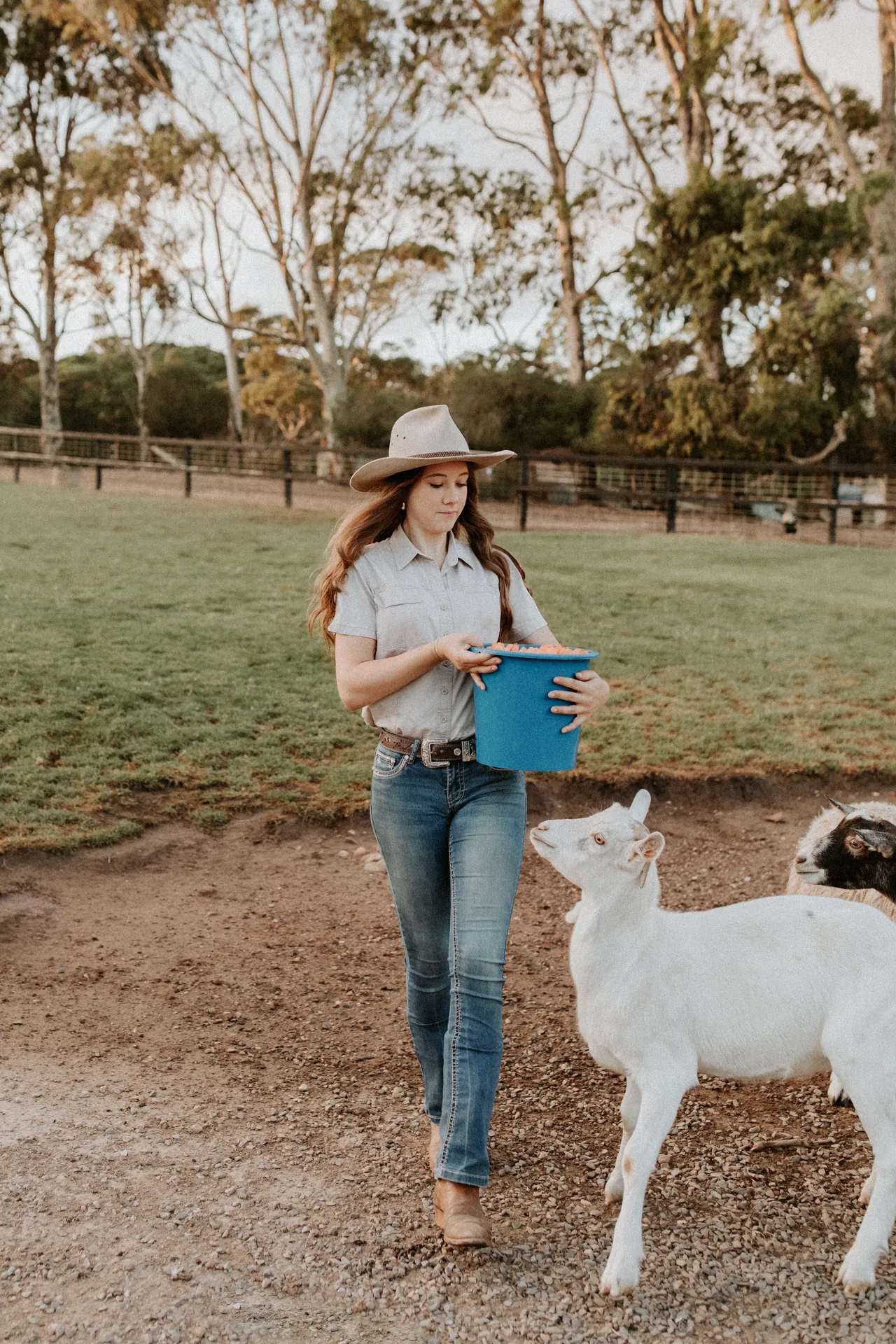 Children feeding animals